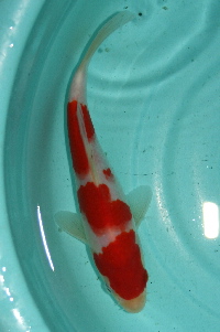 20111120 223-200.jpg